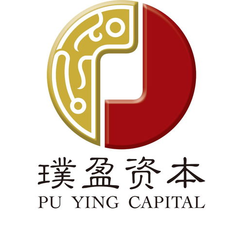 上海璞盈投資管理 穩(wěn)健與全球視野下的新戰(zhàn)略